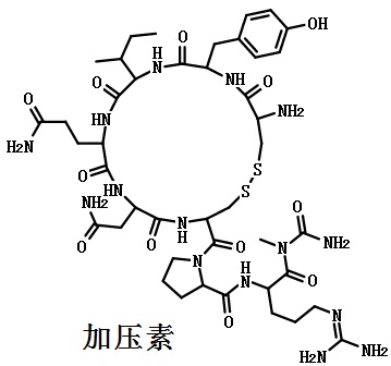 加壓素的結(jié)構(gòu)式